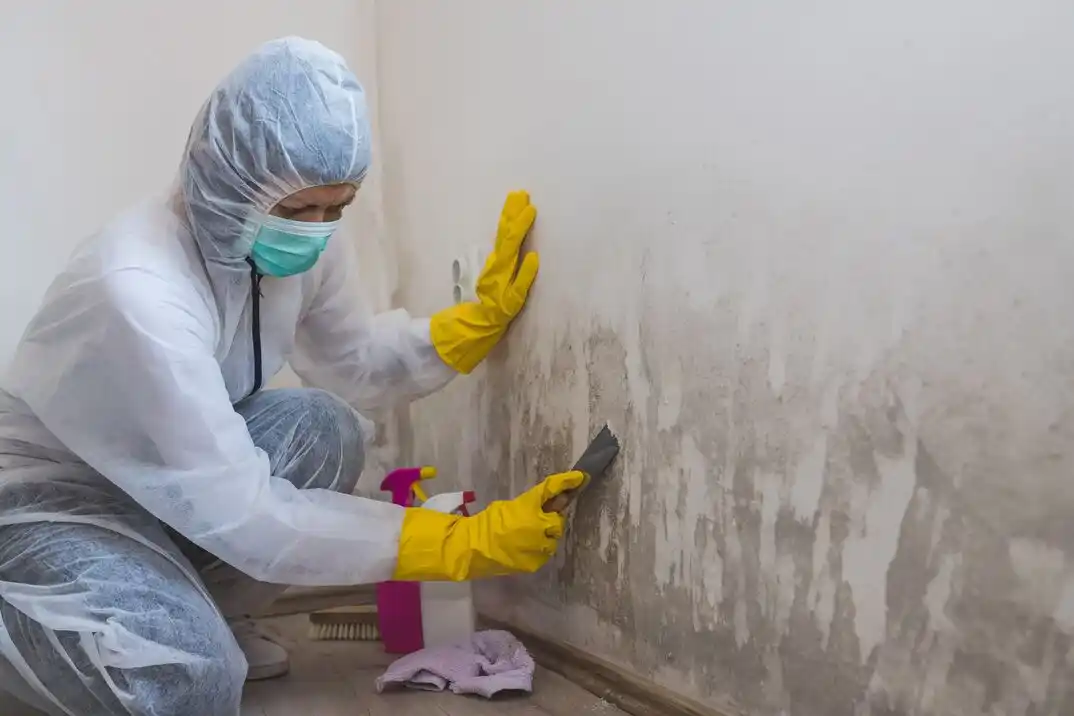 water damage restoration service White Oak Estates